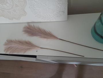 Te koop 2x nieuwe pluimen taupe.
 beschikbaar voor biedingen