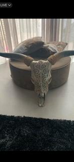 Longhorn Skull 1 meter, Huis en Inrichting, Ophalen of Verzenden, Zo goed als nieuw