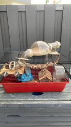 Gebruikte hamsterkooi, Dieren en Toebehoren, Kooi, Gebruikt, Minder dan 75 cm, Hamster