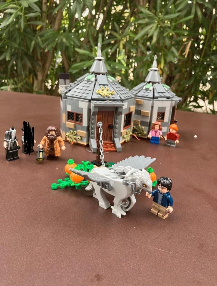 Lego Harry Potter Hargids huisje 75947 compleet✅, Kinderen en Baby's, Speelgoed | Duplo en Lego, Zo goed als nieuw, Ophalen of Verzenden