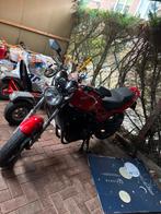 Kawasaki er500 a2 1999, Motoren, Onderdelen | Kawasaki, Ophalen of Verzenden, Nieuw