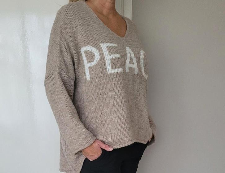 Erg mooie trui Beige Universele maat, Kleding | Dames, Truien en Vesten, Zo goed als nieuw, Maat 38/40 (M), Beige, Ophalen of Verzenden