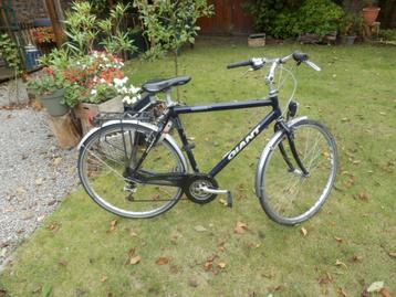 Giant freebike expert series herenfiets Custom Alumine. beschikbaar voor biedingen
