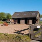 Stalling met weidegang aangeboden nabij stad Groningen, Dieren en Toebehoren, Weidegang