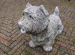 Beeld hond ( west highland White terriër ) tuinbeeld, Beton, Zo goed als nieuw, Ophalen, Dierenbeeld