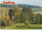 K7655 Ongelopen ansichtkaart Limburg, Ophalen of Verzenden, 1980 tot heden, Gelopen, Limburg