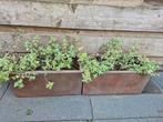2 Plantenbakken Cortenstaal Look 45x21x22, Tuin, Gebruikt, Minder dan 30 cm, Minder dan 60 cm