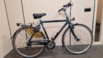 Gazelle Lausanne Herenfiets - Frame 57cm, Ophalen, Gebruikt, Versnellingen, 57 tot 61 cm