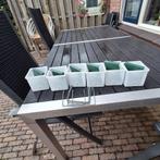 6 Breker Watercontainers -, Dieren en Toebehoren, Meerdere dieren, Groot