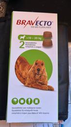Bravecto hond 1 tablet, Dieren en Toebehoren, Ophalen of Verzenden