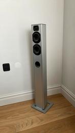 2 staande Piega zuil speakers TS 5, Audio, Tv en Foto, Luidsprekers, Gebruikt, 120 watt of meer, Front, Rear of Stereo speakers