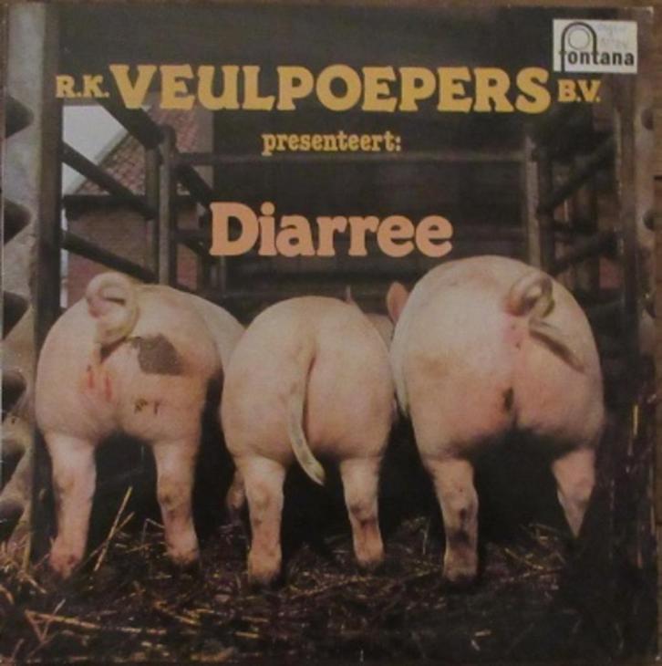 R.K. Veulpoepers B.V. – Diarree, Cd's en Dvd's, Vinyl | Overige Vinyl, Zo goed als nieuw, 12 inch, Ophalen of Verzenden