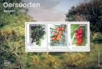 vel persoonlijke zegels postfris oersoorten - bessen, Ophalen of Verzenden, Na 1940, Postfris