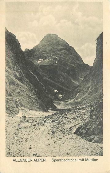 (381-283-019) Allgauer Alpen beschikbaar voor biedingen