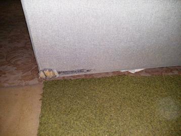 Gratis Grijze Hoekbank Kivik (Ikea) - Mancave/Logeerkamer - afbeelding 5