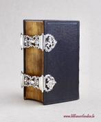 BIJBEL STATENBIJBEL (1878) Prachtig opengewerkt ZILVER!, Antiek en Kunst, Antiek | Boeken en Bijbels, Ophalen of Verzenden, Statenbijbel Bijbel