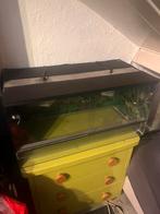 Terrarium / paludarium, Dieren en Toebehoren, Reptielen en Amfibieën | Toebehoren, Ophalen of Verzenden, Zo goed als nieuw, Terrarium of Paludarium