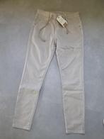 Red Button broek mt 38, relax jog color stone,  nieuw, Kleding | Dames, Broeken en Pantalons, Maat 38/40 (M), Verzenden, Nieuw