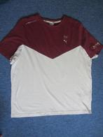 Max Verstappen T Shirt, XL, beige/Bordeauxrood, Ophalen of Verzenden, Zo goed als nieuw, Formule 1