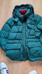 Tommy Hilfiger Winterjas XXL Dons, Ophalen of Verzenden