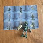 Bionicle 8611 Orkahm, Ophalen of Verzenden, Zo goed als nieuw, Complete set, Lego