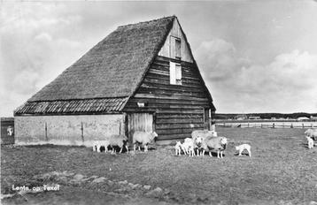 (388-086-037) Lente op Texel beschikbaar voor biedingen