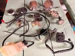 Partij onderdelen ltd 454 alles in een koop, Motoren, Onderdelen | Kawasaki, Ophalen of Verzenden