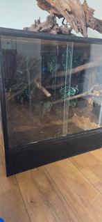Terrarium OSB, Dieren en Toebehoren, Reptielen en Amfibieën | Toebehoren, Ophalen, Zo goed als nieuw