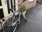 Koga Miyata Road Runner-S Herenfiets 54, Gebruikt, Versnellingen, 53 tot 57 cm, Ophalen
