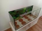 Terrarium / hamsterkooi / kooi, Kooi, Ophalen, Minder dan 60 cm, 110 cm of meer
