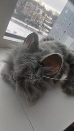 Robot kat real friends grijs, Kinderen en Baby's, Speelgoed | Knuffels en Pluche, Ophalen, Poes