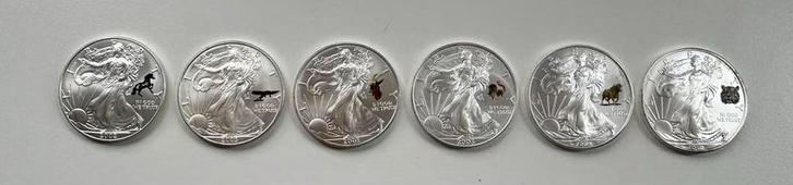 Silver American Eagle Privy Set (2002–2010), Postzegels en Munten, Munten | Amerika, Noord-Amerika, Ophalen of Verzenden