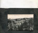 Ansicht St. Maartenszee - In de duinen, Verzenden, 1940 tot 1960, Gelopen