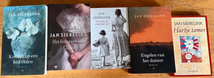 Jan Siebelink. Pakket van vijf boeken voor €12,50, Boeken, Romans, Gelezen, Nederland, Ophalen of Verzenden