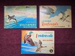 3 vogelboeken - A.B. Wigman - Rein Stuurman - met platen, Ophalen of Verzenden, Gelezen, Vogels, A.B. Wigman