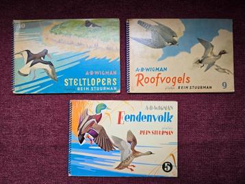 3 vogelboeken - A.B. Wigman - Rein Stuurman - met platen beschikbaar voor biedingen