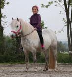Superleuke & lieve pony(grote) A pony, Dieren en Toebehoren, Pony's, Merrie, A pony (tot 1.17m), 11 jaar of ouder