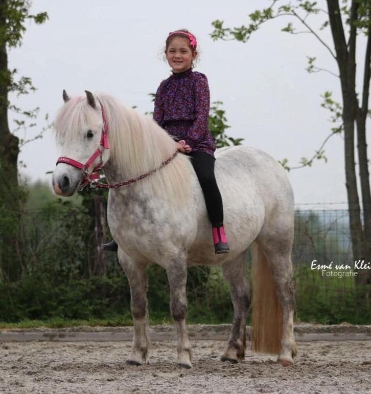 Superleuke & lieve pony(grote) A pony, Dieren en Toebehoren, Pony's, Merrie, A pony (tot 1.17m), 11 jaar of ouder
