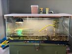 Aquarium met platform, Ophalen, Zo goed als nieuw, Terrarium of Paludarium