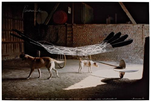 Panamarenko, Raven's Variable Matrix, Antiek en Kunst, Kunst | Litho's en Zeefdrukken, Verzenden