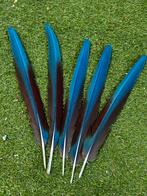 Ara dtaartveren, Ophalen of Verzenden, Zo goed als nieuw, Materiaal