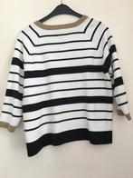 Massimo Dutti trui maat M, Kleding | Dames, Truien en Vesten, Verzenden, Zo goed als nieuw, Maat 38/40 (M)