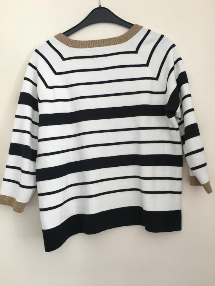 Massimo Dutti trui maat M, Kleding | Dames, Truien en Vesten, Zo goed als nieuw, Maat 38/40 (M), Verzenden