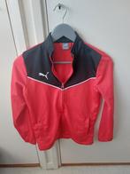 Trainingspak, Gebruikt, Jongen of Meisje, Puma, Sport- of Zwemkleding