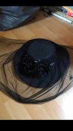 Heksen/thema hoed, Ophalen of Verzenden, Gedragen, One size fits all, Hoed