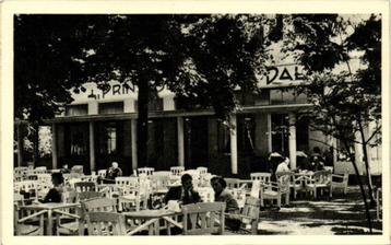 Prins Bernhard Dal, Apeldoorn - terras volk - 1955 gelopen beschikbaar voor biedingen