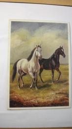 Oude dieren-kaart-Paarden, Verzenden, Voor 1920, Gelopen, Paard
