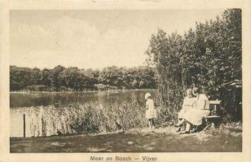 (301-120-039) Nederland Meer en Bosch beschikbaar voor biedingen