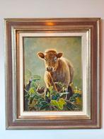 Claus Rabba - Koe met Winterkoninkje, Ophalen of Verzenden