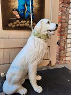 Vintage porseleinen hond Italy xxl, Ophalen
